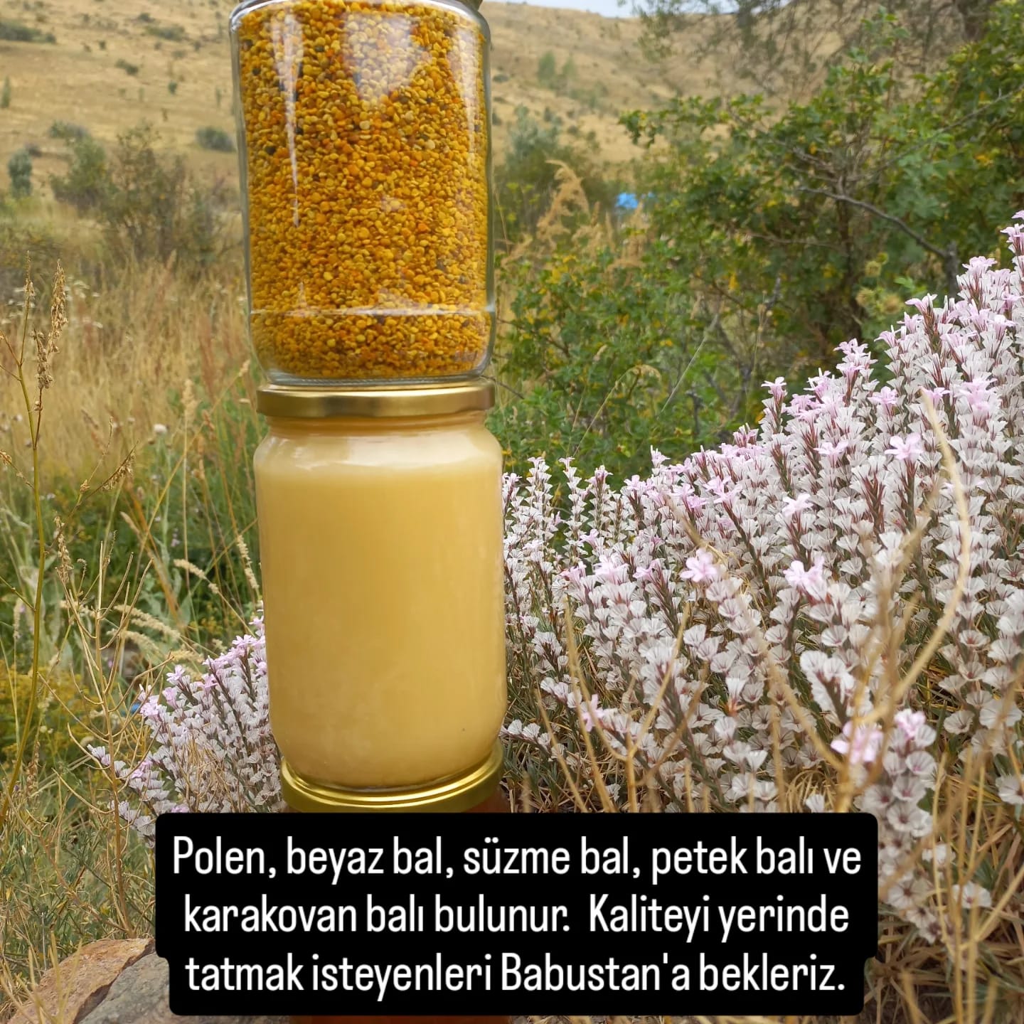 Babustan Bal
